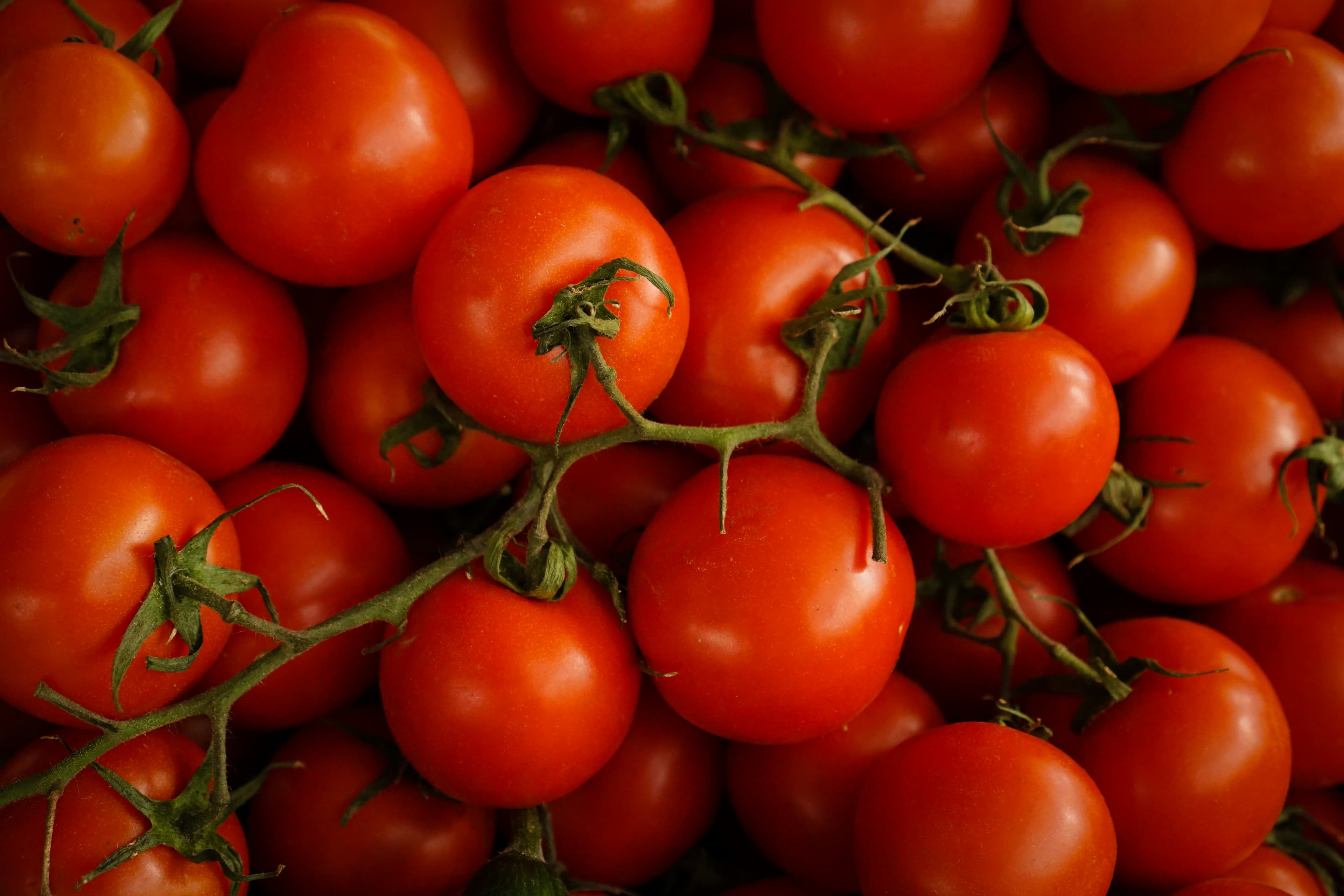 How to Grow Tomatoes in an RV