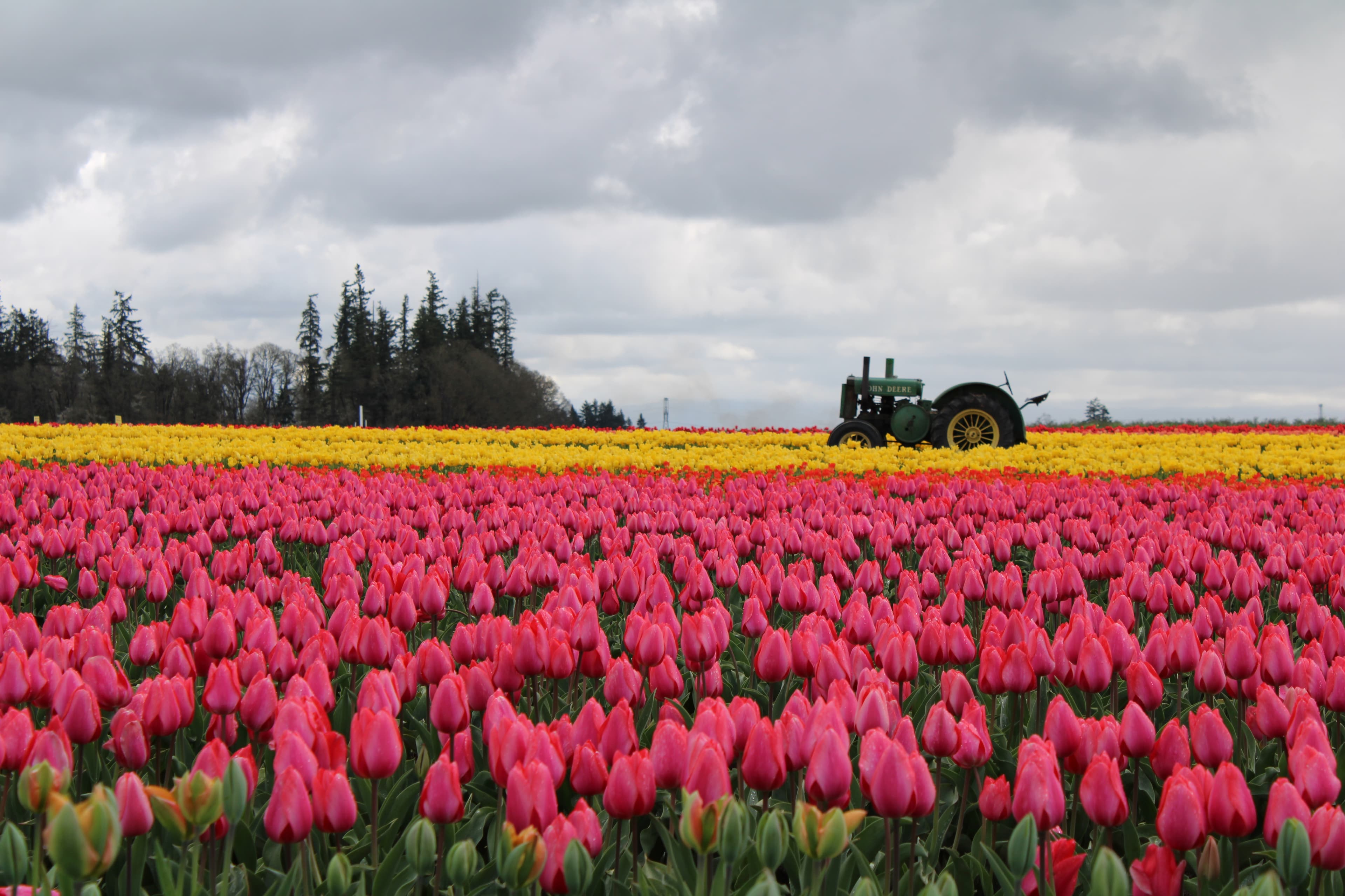 10 RV Parks to See Flower Festivals 