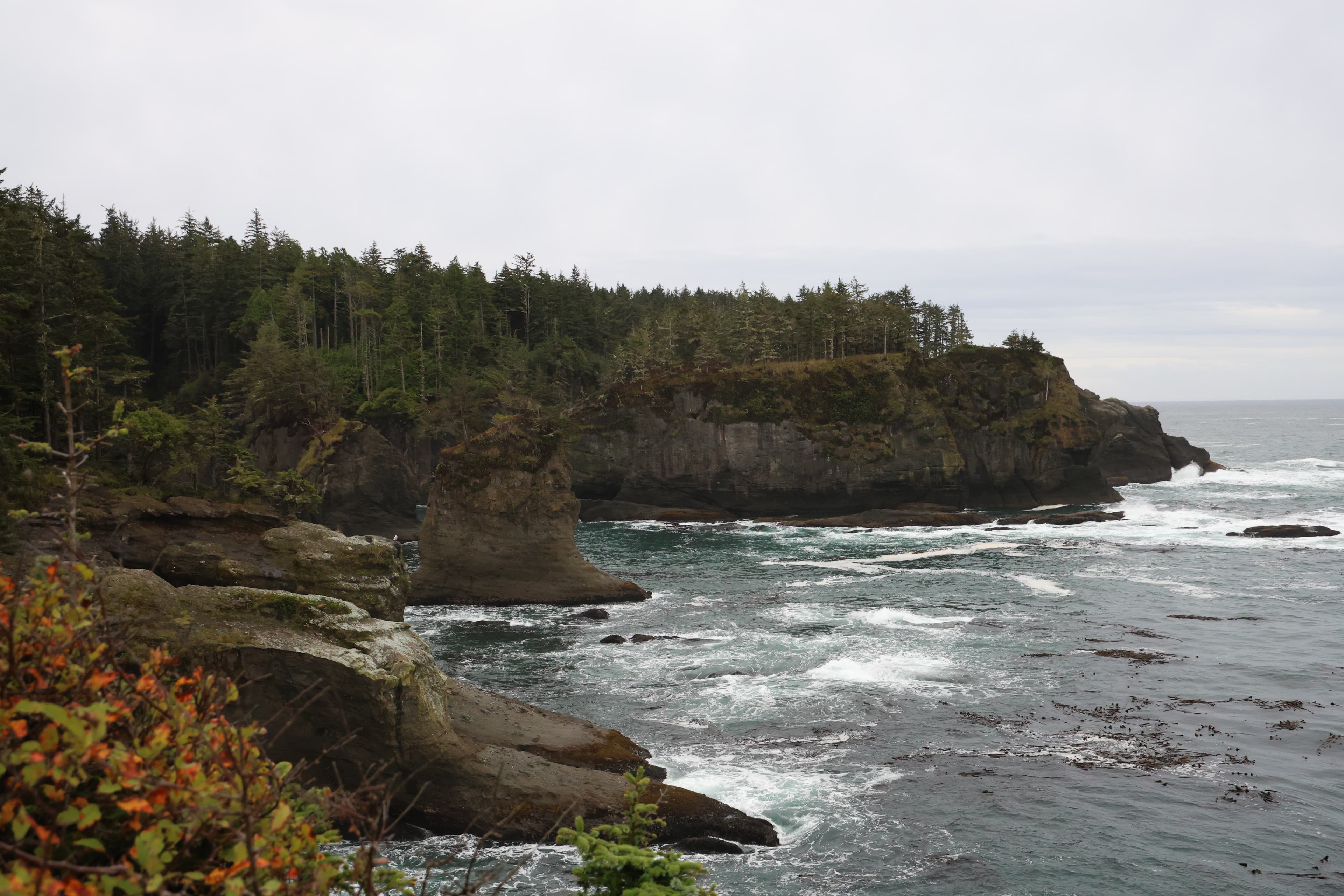 NEW Port Angeles Restaurants for 2025-2