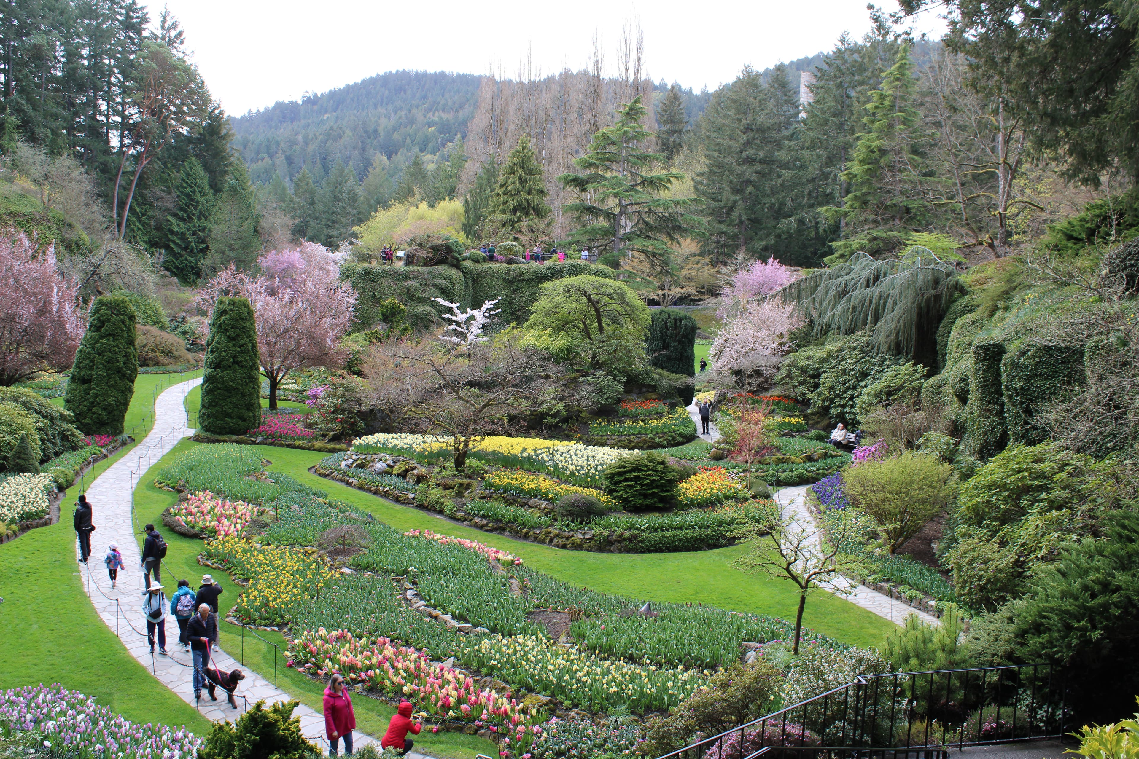 15 Things To Do in Victoria, Canada-3