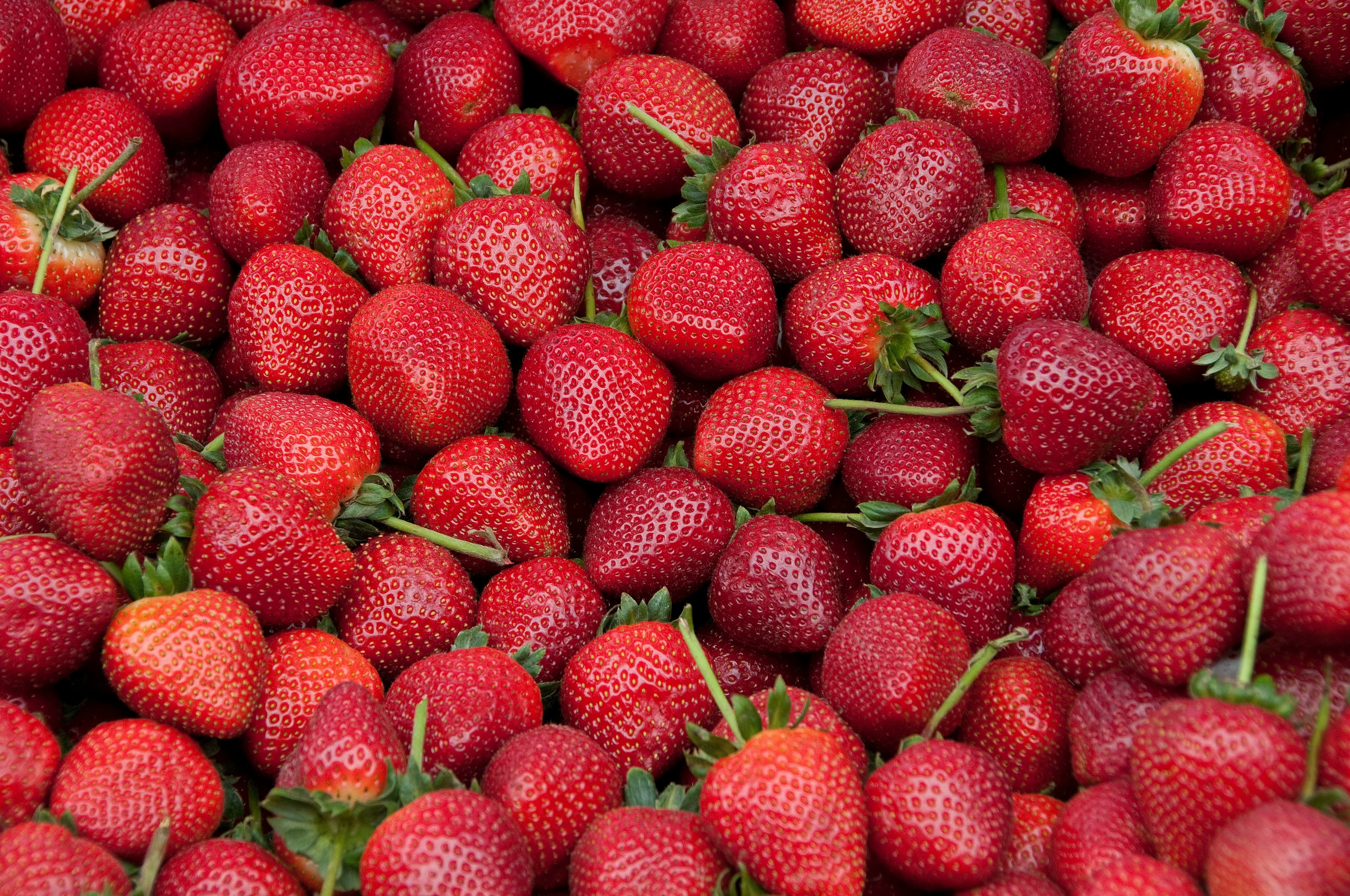 5 Easy Mouthwatering Desserts for Camping-2
