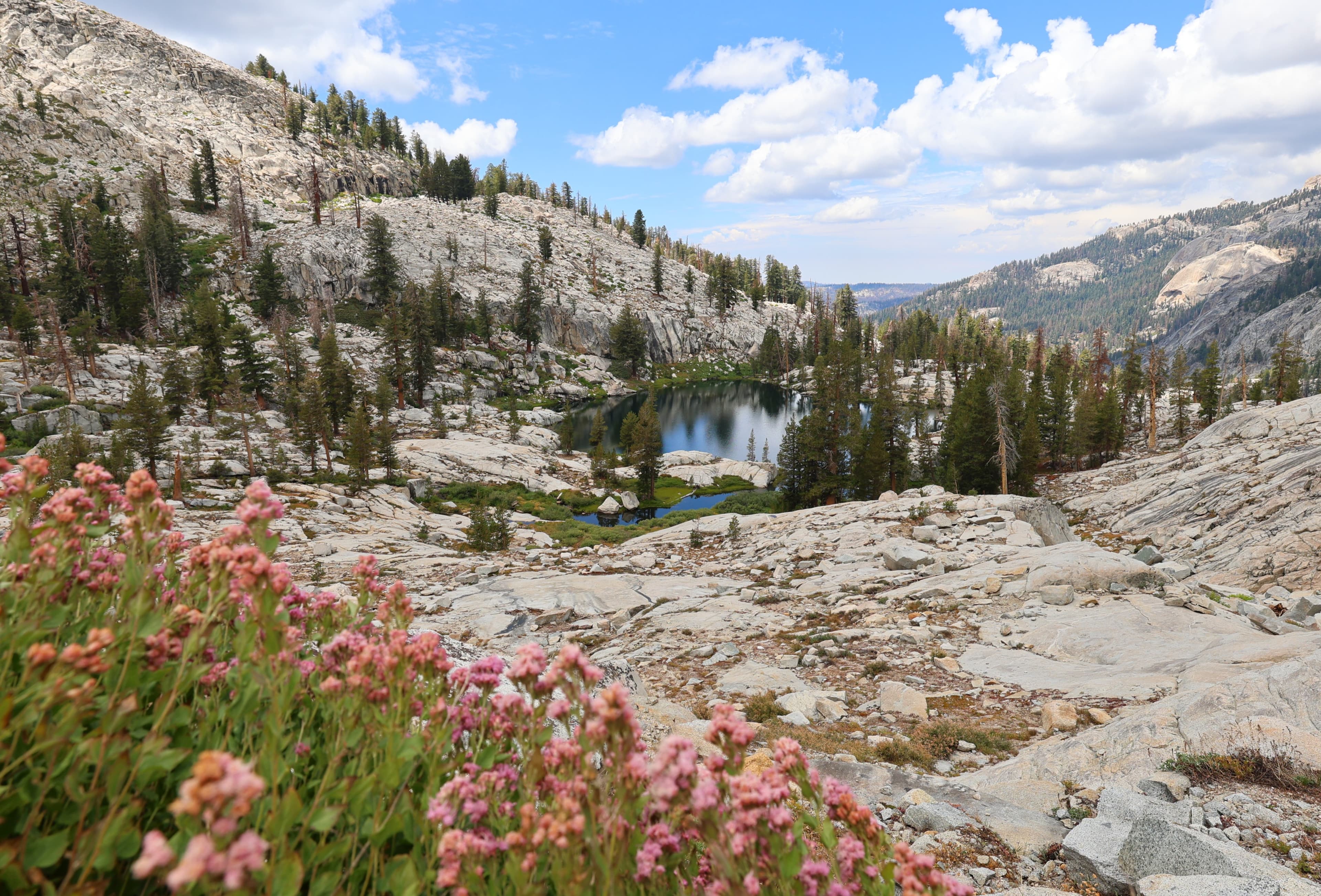 Sequoia National Park Lake Trail: The Ultimate Full Guide-2