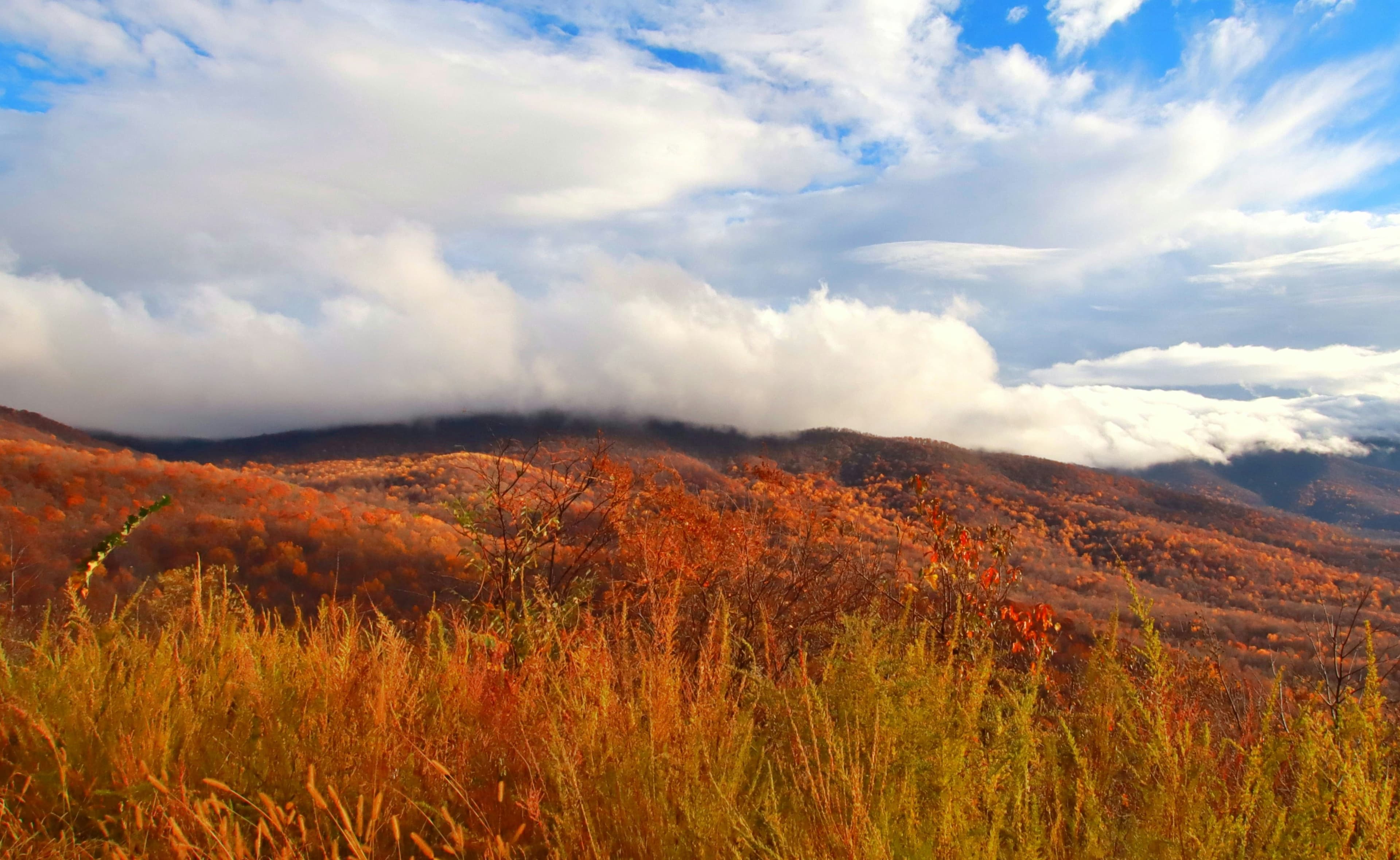 15 Quiet Fall Road Trip Routes for Spectacular Autumn Leaf Peeping