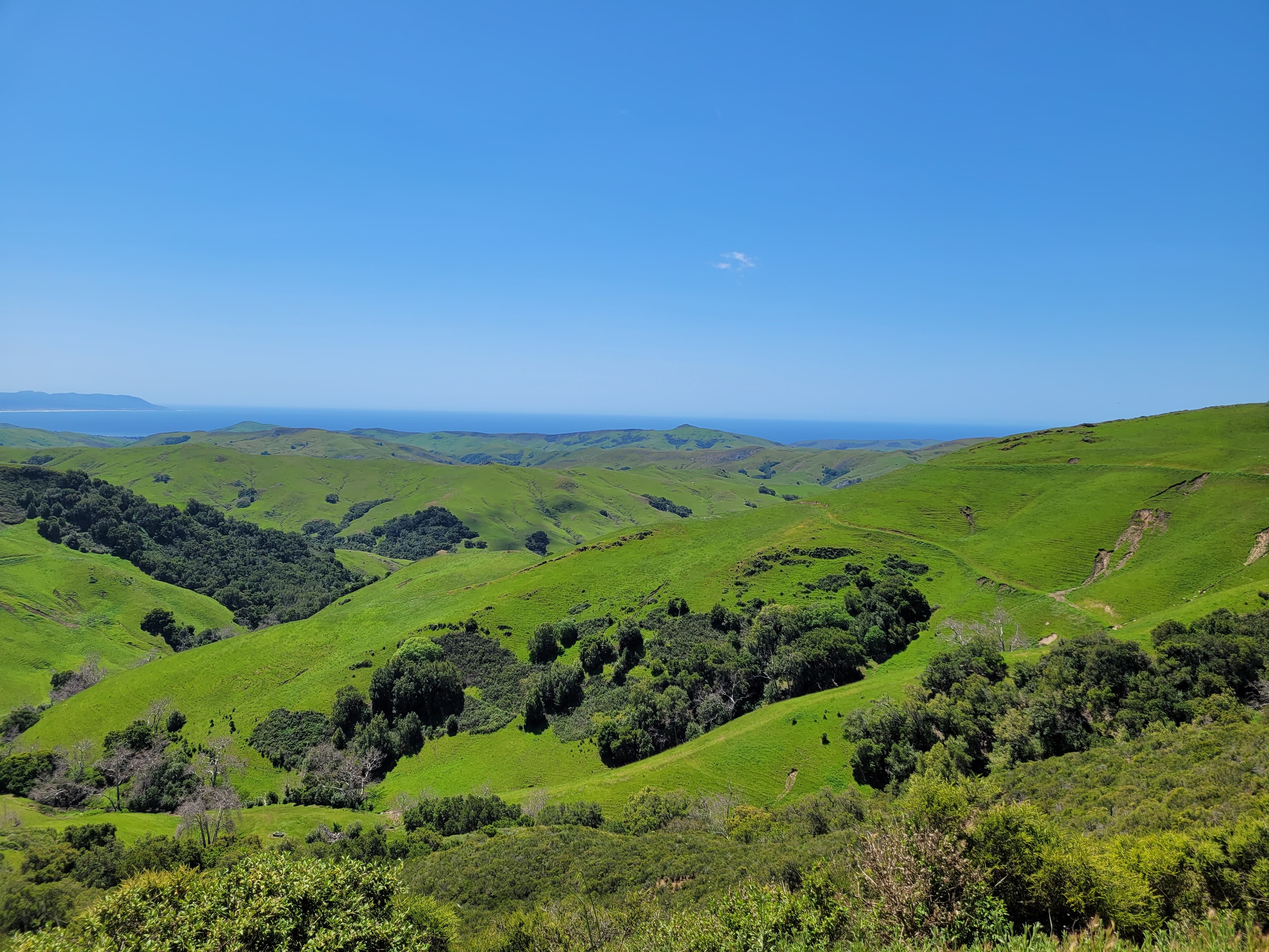 5 Must-Sees When Visiting Paso Robles