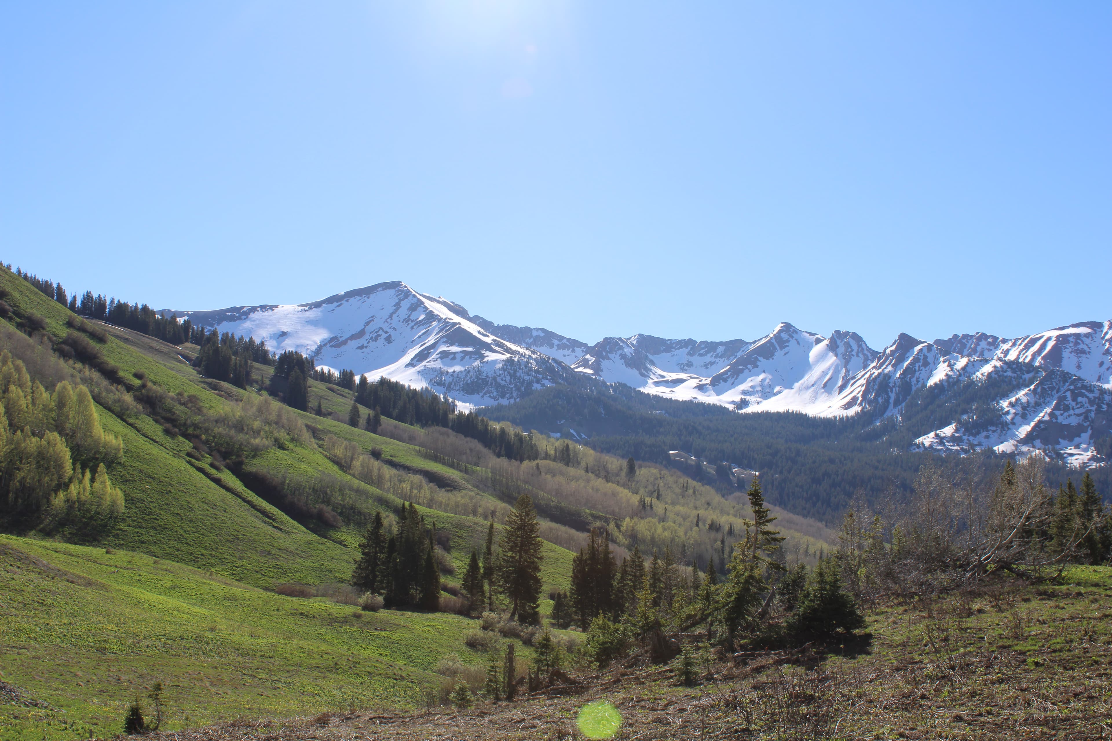 Hiking Trails for Every Skill Level in Colorado