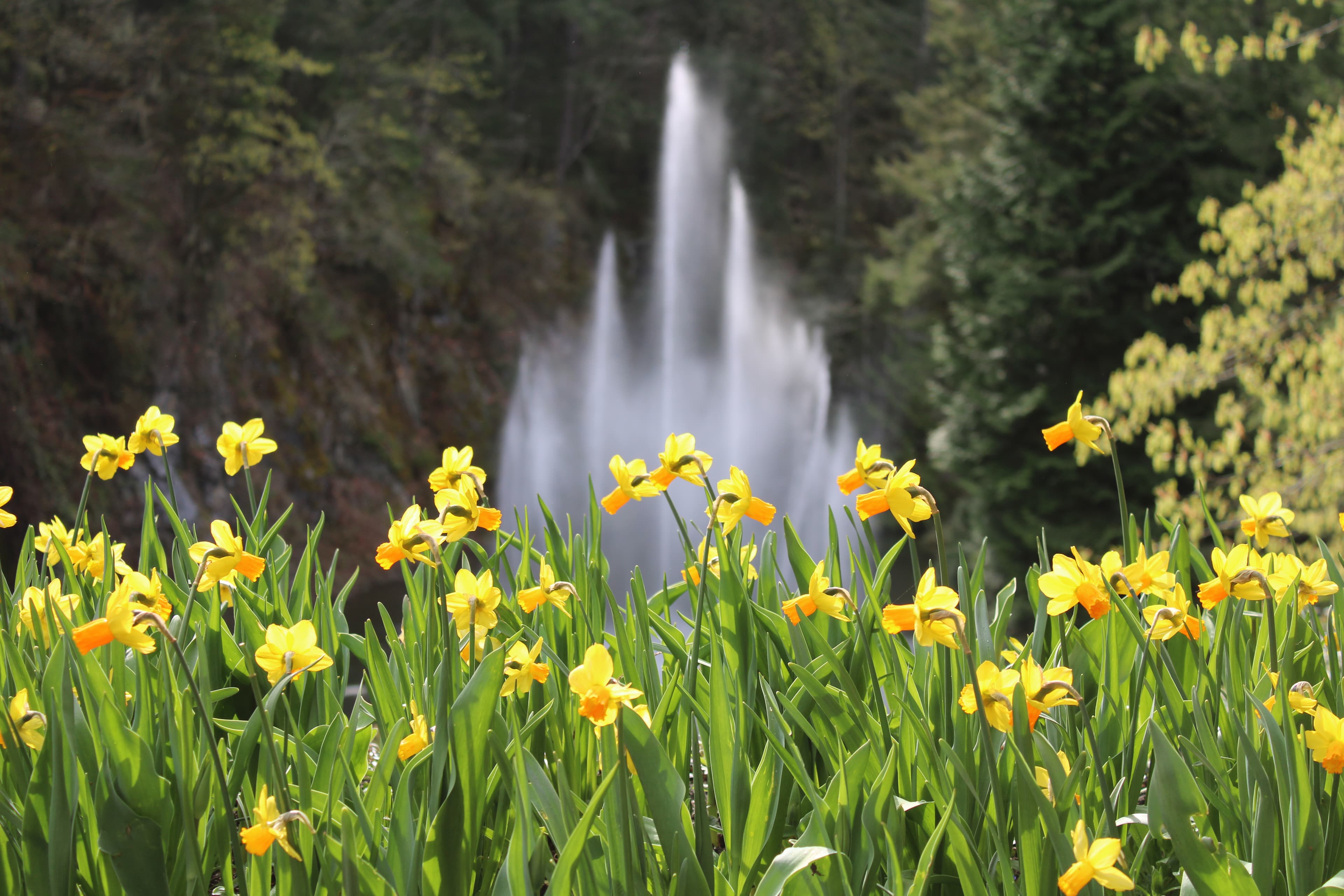 15 Things To Do in Victoria, Canada